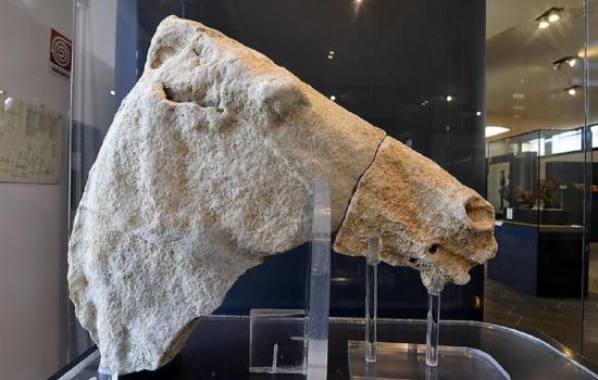 testa di cavallo tempio di hera 4aea85ad - Meraviglie di Calabria - 34