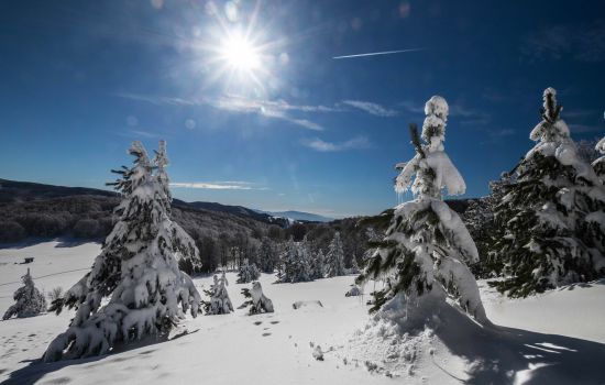 inverno in sila 4be86d03 - Meraviglie di Calabria - 47