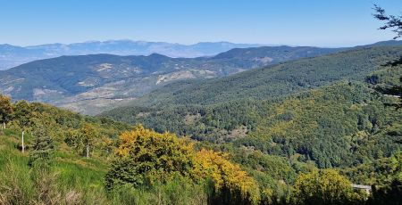 Sila 9 4c6cdbab - Meraviglie di Calabria - 42