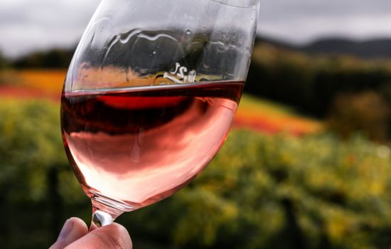 vino rose 4c9c3e4b - Meraviglie di Calabria - 1