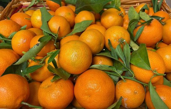 Clementine cover 4dee2543 - Meraviglie di Calabria - 1