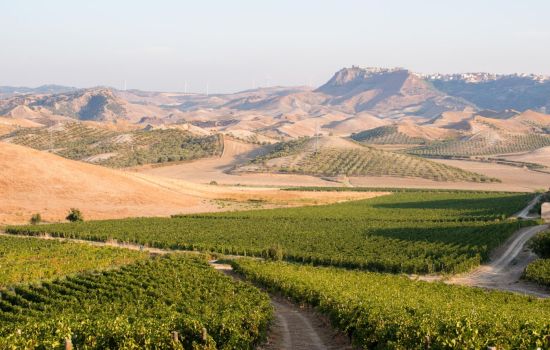 librandi critone ph luca savettiere 4 1 1 4d7b9d06 - Meraviglie di Calabria - 1