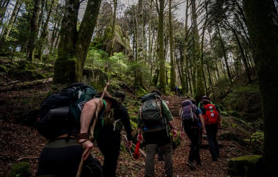 Montagna escursioni Guide Parco Calabria 1 4e317ac5 - Meraviglie di Calabria - 1