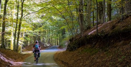 Ciclovia dei parchi aspromonte scaled 4fd4841f - Meraviglie di Calabria - 22