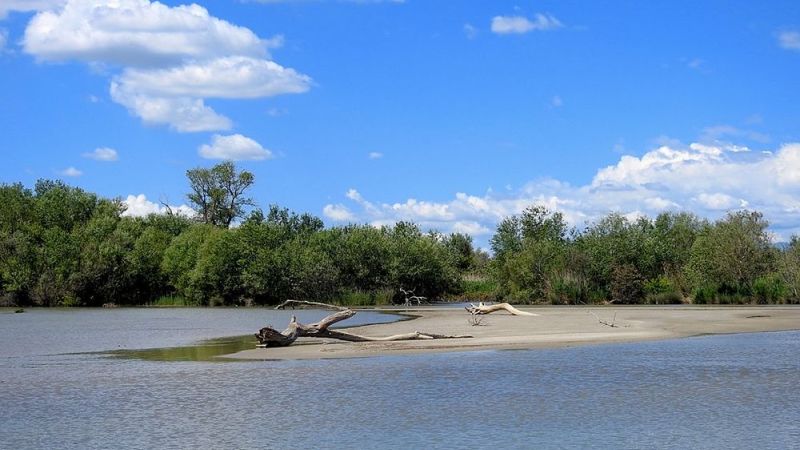 crati3 opt 4fe9c8f2 - Nella Riserva naturale di Sibari, il centro visite e la sezione del Museo del Mare - 1 Nella Riserva naturale di Sibari, il centro visite e la sezione del Museo del Mare
