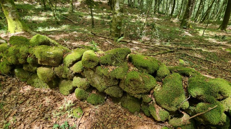 Aspromonte, nuovi ritrovamenti lungo antiche mura romane [FOTO]