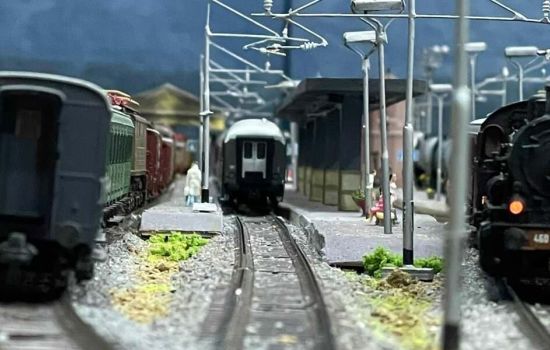 410020141 690407596523413 4066477325713118938 n e1703976930165 515df7f8 - Meraviglie di Calabria - 31