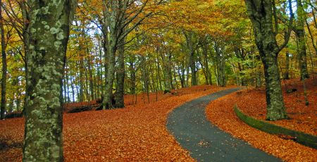 PARCO REGIONALE DELLE SERRE 1