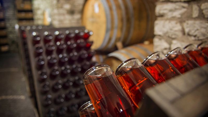 WhatsApp Image 2023 02 24 at 12.18.48 519f9ee2 - A Reggio, le diverse anime dei vini calabresi - 1 A Reggio, le diverse anime dei vini calabresi