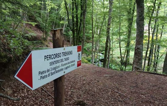 Trekking soverato 52cd9225 - Meraviglie di Calabria - 1