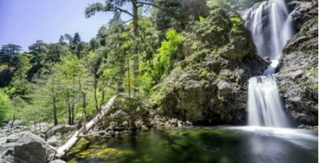 cascate menta amendolea parco aspromonte 2 1 5297dd47 - Meraviglie di Calabria - 9