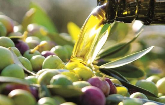 olio campano IGP 522c4be2 - Meraviglie di Calabria - 1