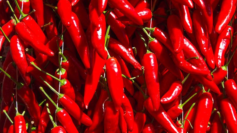 peperoncino 5200b1af - Calabria protagonista al Forum della gastronomia messicana - 1 Calabria protagonista al Forum della gastronomia messicana