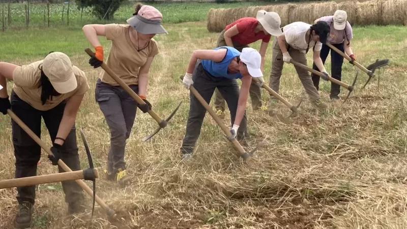 Scavi archeologici a Laino Borgo: vengono alla luce monete di 2500 anni fa [VIDEO]