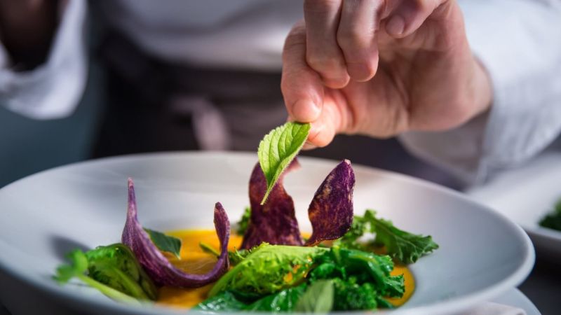 5f1969cef715d7fae4051140 1 e1711098070350 53a2036b - Gastronomia e natura, nel Parco della Sila la finale del concorso nazionale “Upvivium” - 1 Gastronomia e natura, nel Parco della Sila la finale del concorso nazionale “Upvivium”