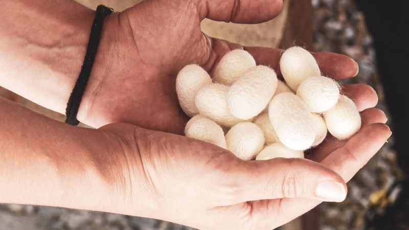 All’Antico Mulino delle Fate le storie sostenibili di “Nido di Seta”
