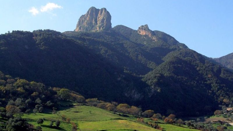 parco dell aspromontecopertina 537c55e3 - Il Parco Nazionale dell'Aspromonte e il monitoraggio per non perdere le sue coturnici - 1 Il Parco Nazionale dell’Aspromonte e il monitoraggio per non perdere le sue coturnici