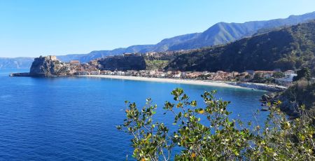 Scilla (Maria Cavallo©)