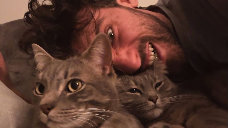 Storie di convivenza tra umani e gatti, a Cosenza c’è Damiaoo Show