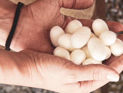 All’Antico Mulino delle Fate le storie sostenibili di “Nido di Seta”