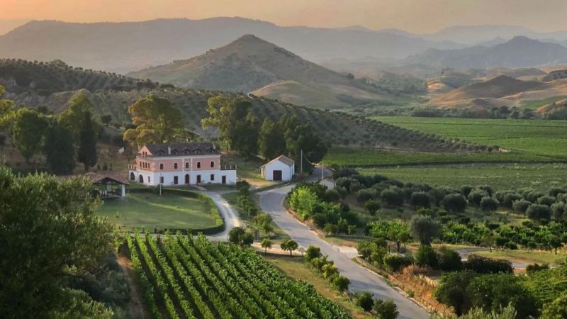 5 motivi per cui il vino calabrese sta conquistando il mondo