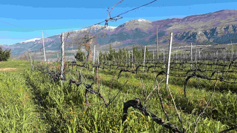 Premio “Carta dei Vini – Spirito Slow” di Slow Wine a Catasta