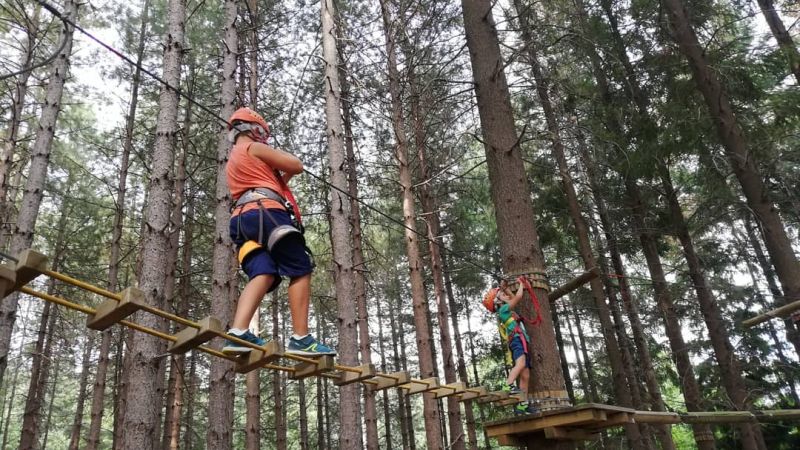68748322 774243832991461 3104472098932785152 n 58876730 - Il Douglasia Park. A Sersale natura, relax e divertimento - 1 Il Douglasia Park. A Sersale natura, relax e divertimento