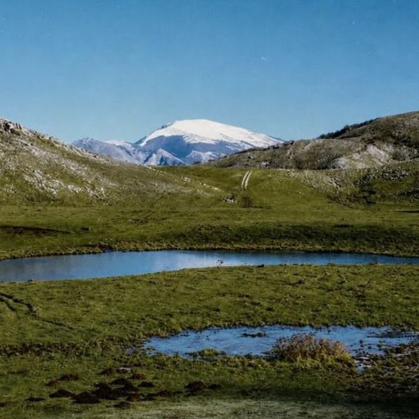Pollino Film Festival, a Masistro Park tre giorni di cinema nella natura