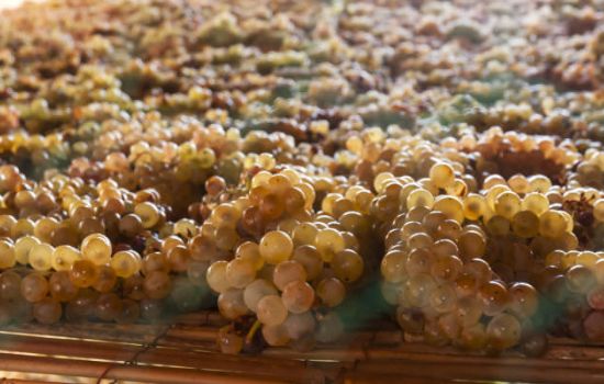 moscato di saracena 581e6eba - Meraviglie di Calabria - 17