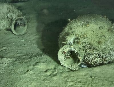 Scoperte in fondo al mare, Monasterace regala nuovi tesori