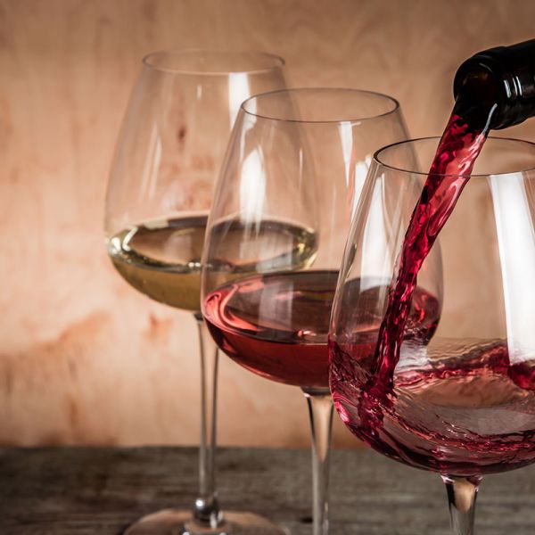 Mormanno, a Perciavutti la “Terra di Vigna. Calici nel Pollino”