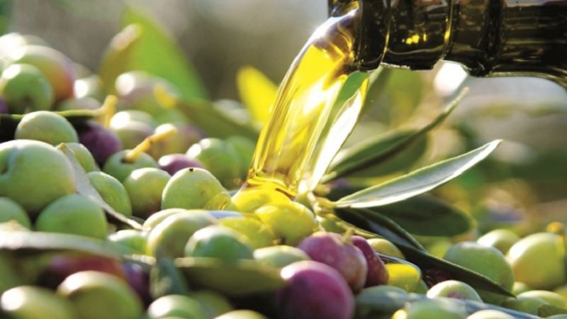 olio campano IGP 5d42a968 - La piccola rivoluzione culturale dell'olio di Calabria IGP, arriva l'etichetta unica - 1 La piccola rivoluzione culturale dell’olio di Calabria IGP, arriva l’etichetta unica