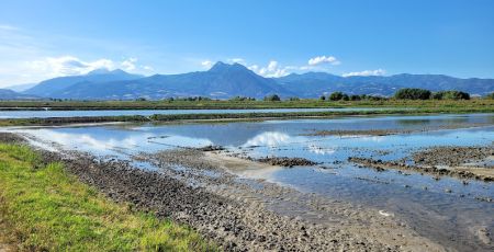 Riasaie Sibari ph credits Maria Corrado 2 5e2da646 - Meraviglie di Calabria - 33