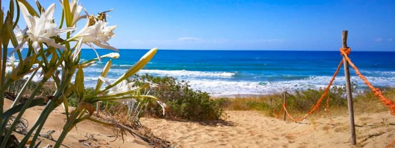 L’incanto della Spiaggia dei Gigli sulla Costa dei Saraceni
