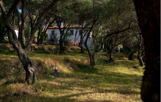 Villa Repaci foto Turismo reggio calabria 5fa6a807 - Meraviglie di Calabria - 5