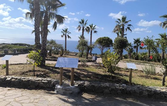 giardino capo vaticano 5fbd6593 - Meraviglie di Calabria - 12