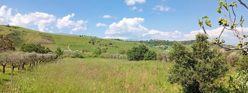 Dagli Usa in Calabria per dar vita ad un orto comune. La proposta di Francesco Incoronato