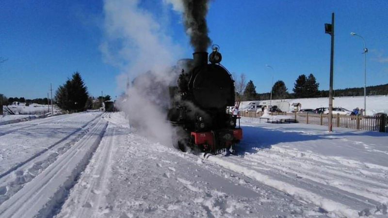 Innamorati della Sila, il viaggio lento su un vecchio treno a vapore