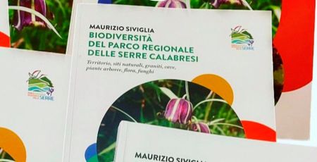 360108912 661452896015514 8997507301148177142 n 1 60b2faba - Meraviglie di Calabria - 25