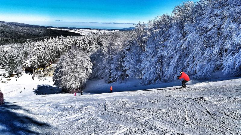 Piste sci Sila camigliatello 3 6006842f - "SnoWine", in Sila la degustazione di vini ad alta quota - 1 “SnoWine”, in Sila la degustazione di vini ad alta quota