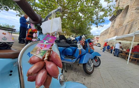Vesplora 9 616236da - Meraviglie di Calabria - 15