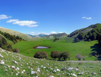 Violino Pollino, l’identità sonora del Parco più grande d’Italia