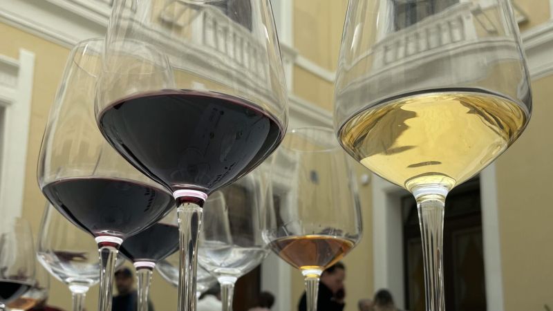 IMG 9541 scaled e1678180555285 6396fe67 - La «forte identità» dei vini reggini. «Lasciamo che il mondo la conosca» - 1 La «forte identità» dei vini reggini. «Lasciamo che il mondo la conosca»