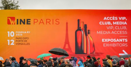 Wine Paris 1 scaled 636360cd - Meraviglie di Calabria - 15