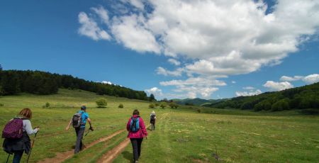 sila trekking 6316010c - Meraviglie di Calabria - 9