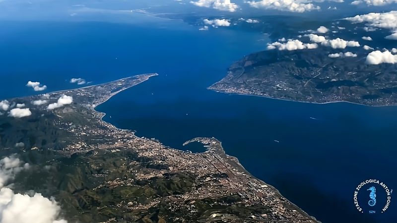 “Salvate il corallo Errina”, lo Stretto come non lo abbiamo mai visto