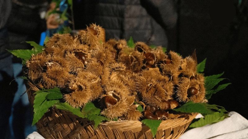 Castagna angoli Serrastretta 2 645925d4 - La castagne buone del Reventino alla sagra di Angoli di Serrastretta - 1 La castagne buone del Reventino alla sagra di Angoli di Serrastretta
