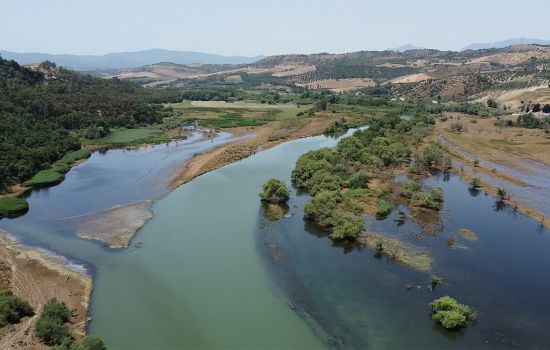 RISERVA TARSIA ACQUA E FORESTA 10 648a7181 - Meraviglie di Calabria - 1