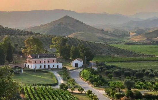 Tenuta Rosaneti Librandi e1708709949630 65f78ffa - Meraviglie di Calabria - 3