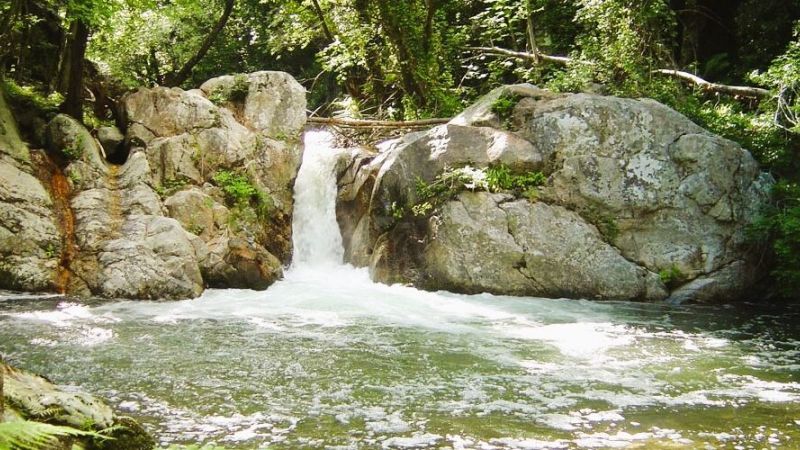 “Di là dal fiume e tra gli alberi”, la Presila catanzarese protagonista sulla Rai